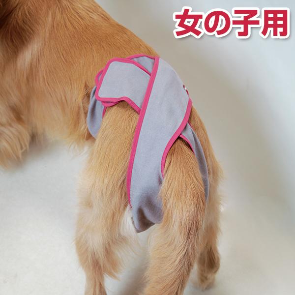 第一衛材 （大型犬用3L）マナーホルダー アクティブ［男の子用/女の子