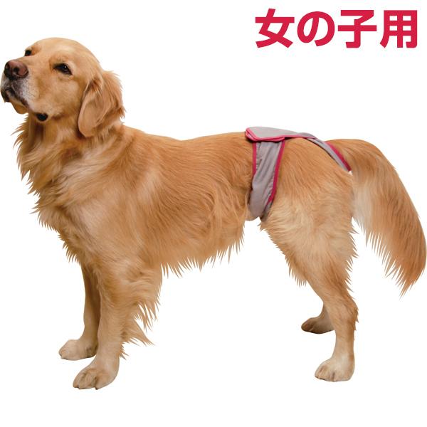 第一衛材 （大型犬用3L）マナーホルダー アクティブ［男の子用/女の子