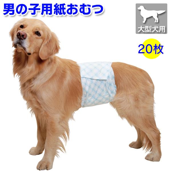 第一衛材 （大型犬用・20枚）男の子用紙おむつ・使い捨てマナーベルト