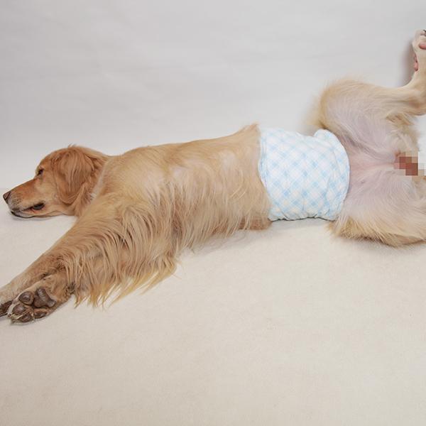 第一衛材 （大型犬用・1枚）男の子用紙おむつ・使い捨てマナーベルト 