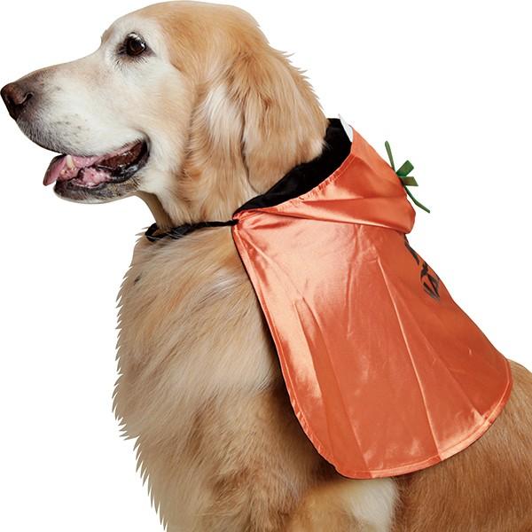 大型犬用 大型犬用 パンプキンマント Ds17 Hwpm 大型犬用品専門店 アイアンバロン 通販 Yahoo ショッピング