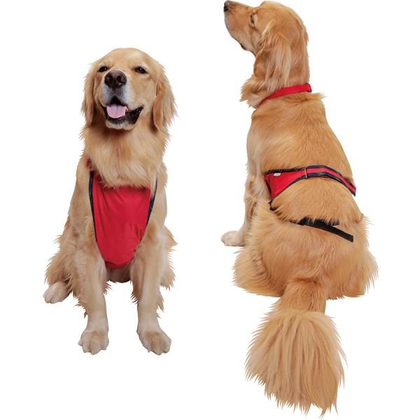 大型犬用 腹あてエプロン 2lサイズ Eprm 2l アイアンバロンyahoo 店 通販 Yahoo ショッピング