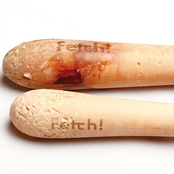 Fetch!（フェッチ）Sサイズ（62637） : 大型犬用品専門店 アイアン