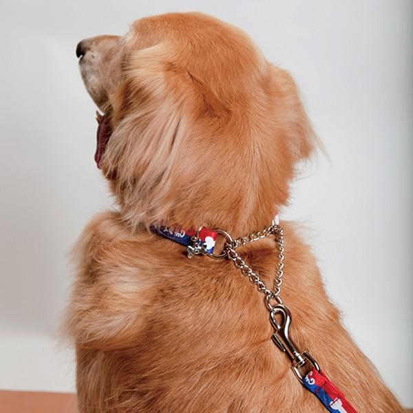 大型犬用 ハーフ ハーフ ハーフチョーク首輪 ｍサイズ Halfhalf C M 大型犬用品専門店 アイアンバロン 通販 Yahoo ショッピング