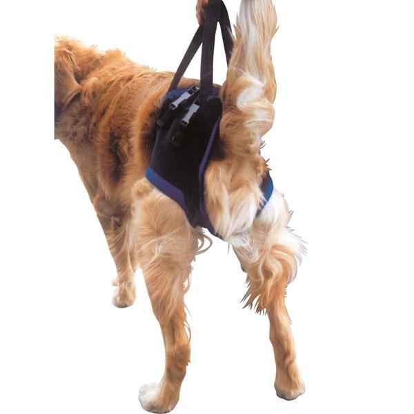 大型犬用介護用品）歩行補助ハーネス・後部用・L（58349