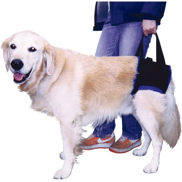 大型犬用介護用品 歩行補助ハーネス 後部用 Xｌ 550 Autoliftpartsplus Com