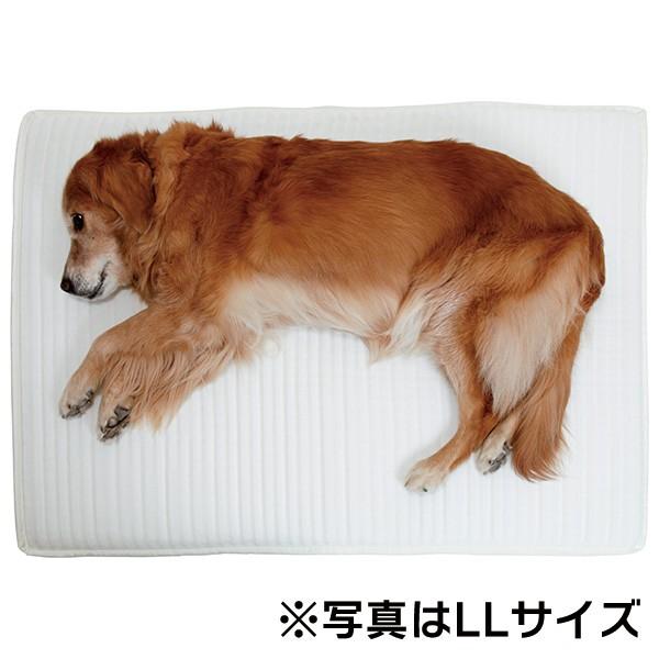 犬用介護用品）ホームナース（高機能リラックスマット）S（62265 