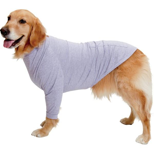 大型犬用）肘ハニカム当て＆カイロポケット付長袖T : 大型犬用品専門