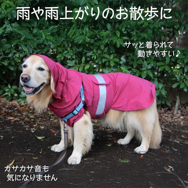 大型犬用レインコート 楽々コート : 大型犬用品専門店 アイアンバロン