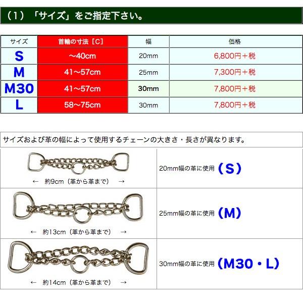 （中〜大型犬用・M）刺しゅうネーム・革チョーク首輪（オーダー）（63545）_12