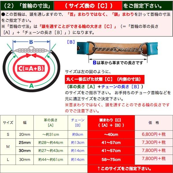 （中〜大型犬用・M）刺しゅうネーム・革チョーク首輪（オーダー）（63545）_13