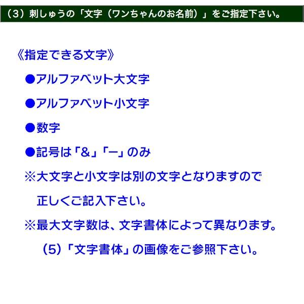 （中〜大型犬用・M）刺しゅうネーム・革チョーク首輪（オーダー）（63545）_14