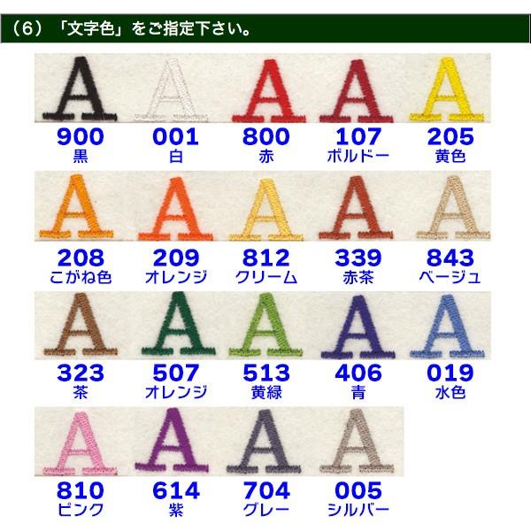 （中〜大型犬用・M）刺しゅうネーム・革チョーク首輪（オーダー）（63545）_17