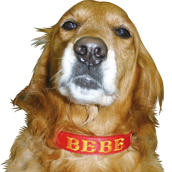 大型犬用・M30/L）刺しゅうネーム・革チョーク首輪（オーダー