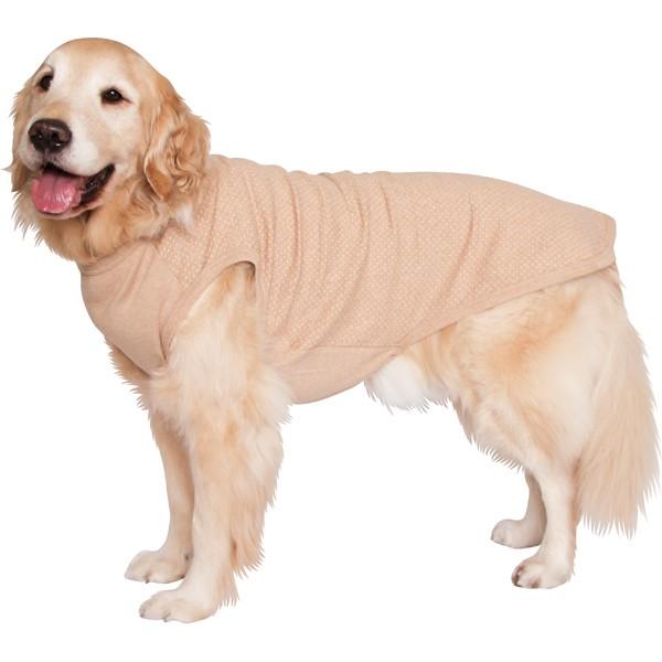 （日本製オーガニックコットン）ドット柄Ｔシャツ 大型犬用