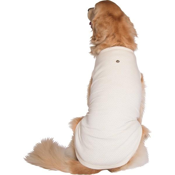 日本製オーガニックコットン）ドット柄Tシャツ 大型犬用 : 大型犬用品