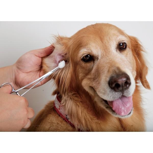 カンシ〈ステンレス製・日本製〉（60057） : 大型犬用品専門店