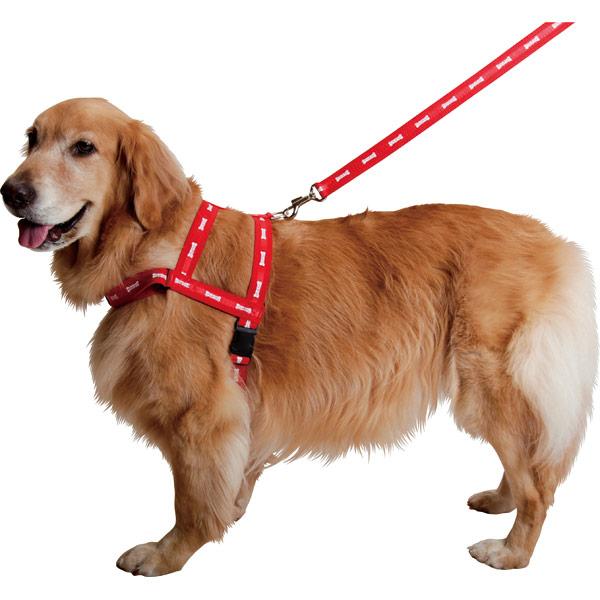 大型犬用）リボンリード L60cm : 大型犬用品専門店 アイアンバロン