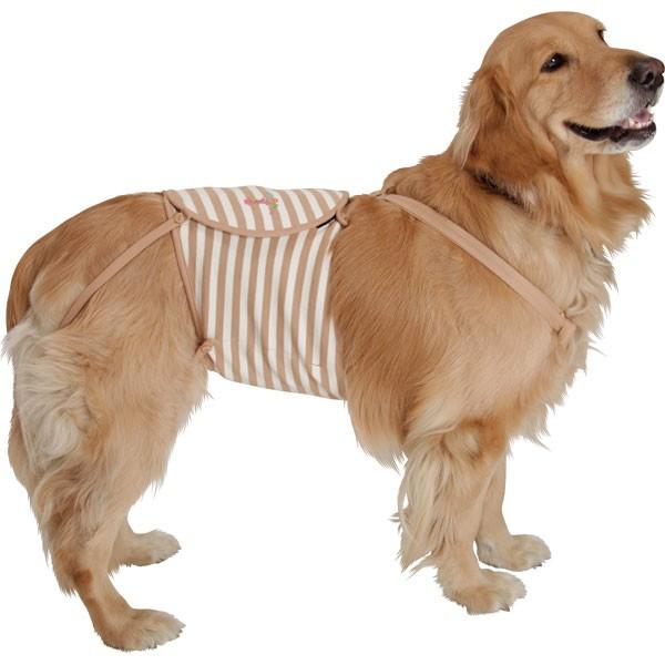 大型犬用）サスペンダー付オーガニックコットン マナーベルト 9
