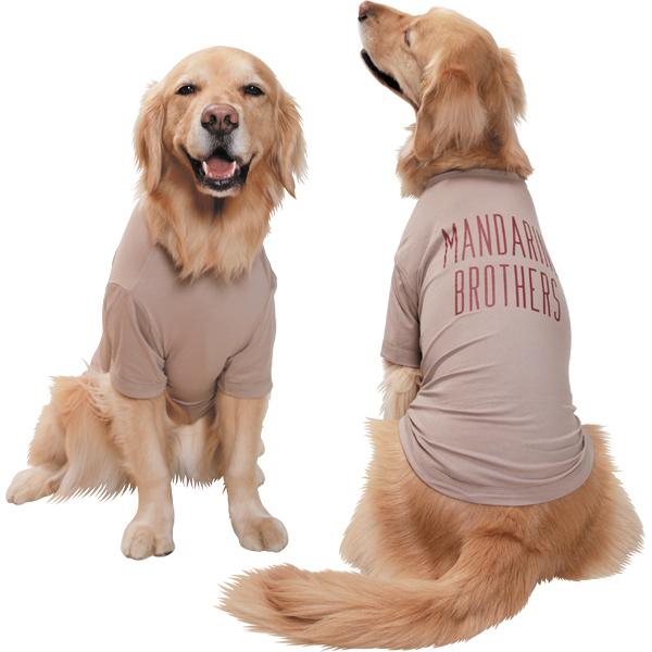 1056円 今季も再入荷 大型犬用 ベーシック クールｔシャツ 22