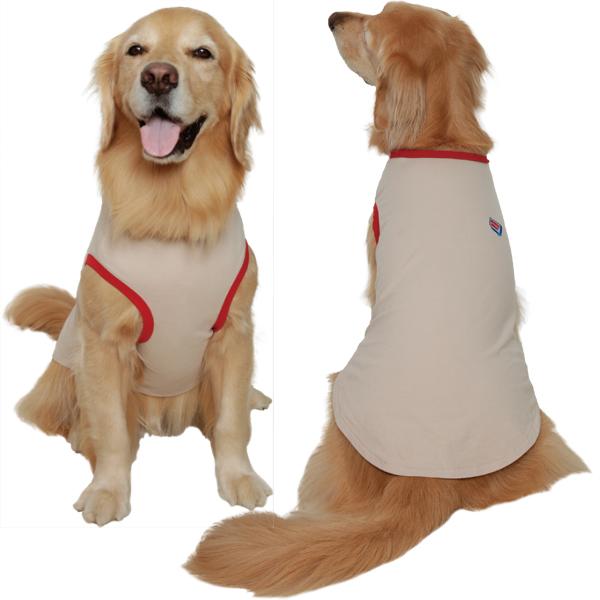 OUTLET】（大型犬用）リンガーTシャツ ※ブルーはChi-bee（チービー