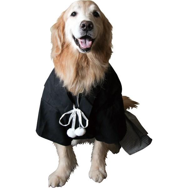 羽織袴（紋付袴）大型犬用9号サイズ（64610） : 大型犬用品専門