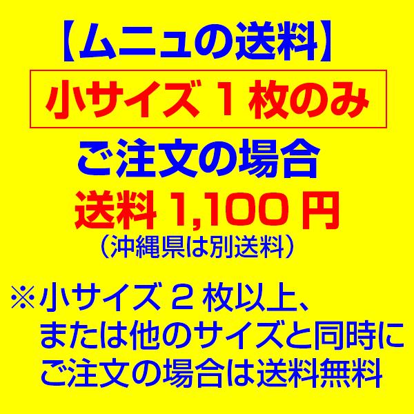 5/20以降出荷 （犬用介護用品）マルチマット ムニュ（MUNYU）【小