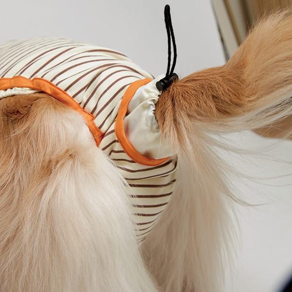 Petio （大型犬用介護用品）PETIO おむつパンツ（サスペンダー付 2L