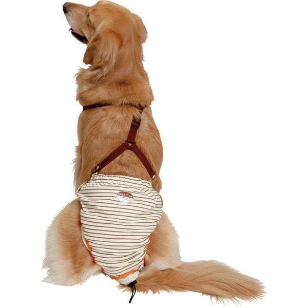 大型犬用介護用品 Petio おむつパンツ サスペンダー付 3lサイズ Petioomutsu10 3l アイアンバロンyahoo 店 通販 Yahoo ショッピング