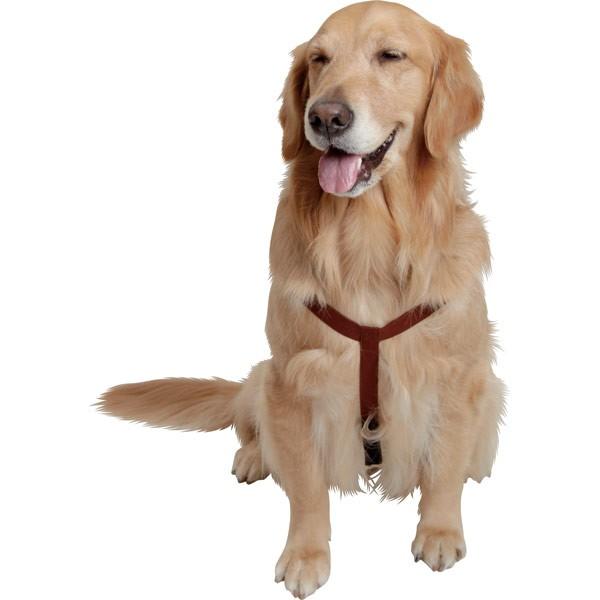 Petio（ペティオ） （大型犬用介護用品）PETIO おむつパンツ