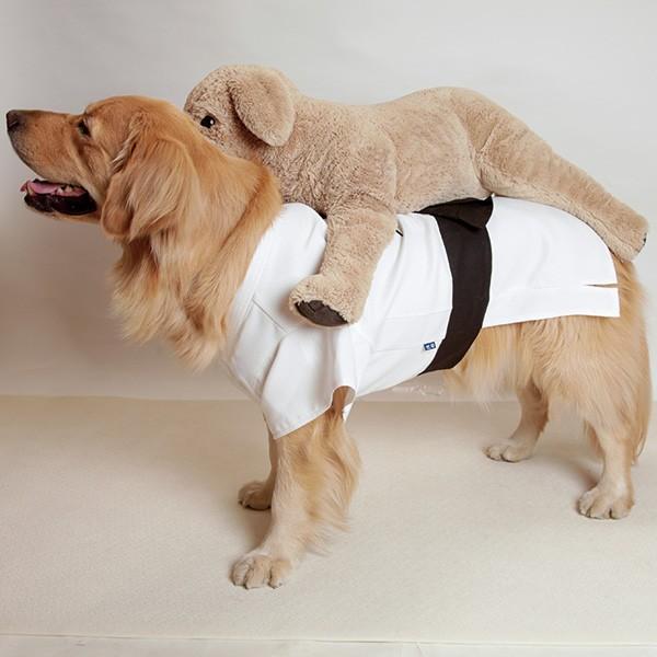 OUTLET】（大型犬用・8号）柔道着 : 大型犬用品専門店 アイアンバロン