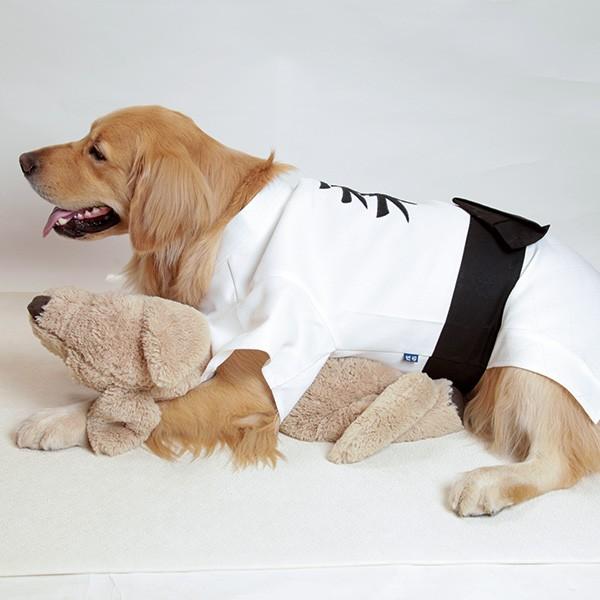 OUTLET】（大型犬用・8号）柔道着 : 大型犬用品専門店 アイアンバロン