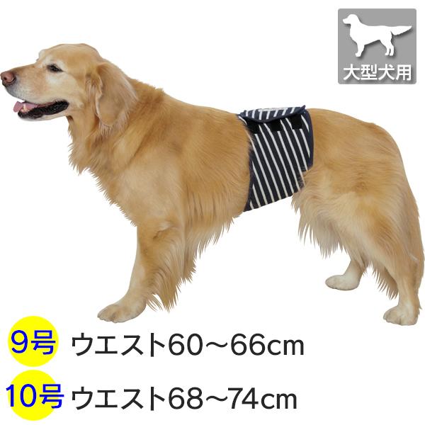 大型犬用・9号/10号）シンプルボーダー マナーベルト : 大型犬用品専門
