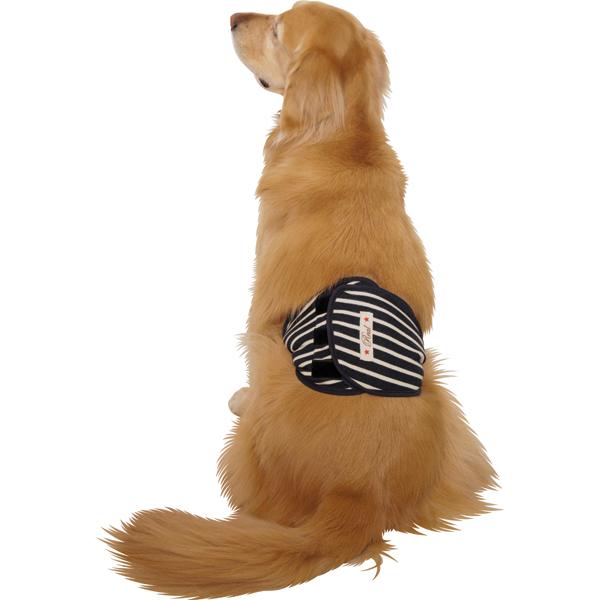 8》ペット✩犬✩マナーベルト オーダー用 サンプル(確認用) 大型