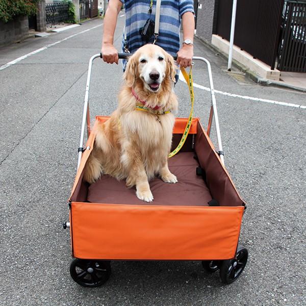 アイアンバロン大型犬用カート