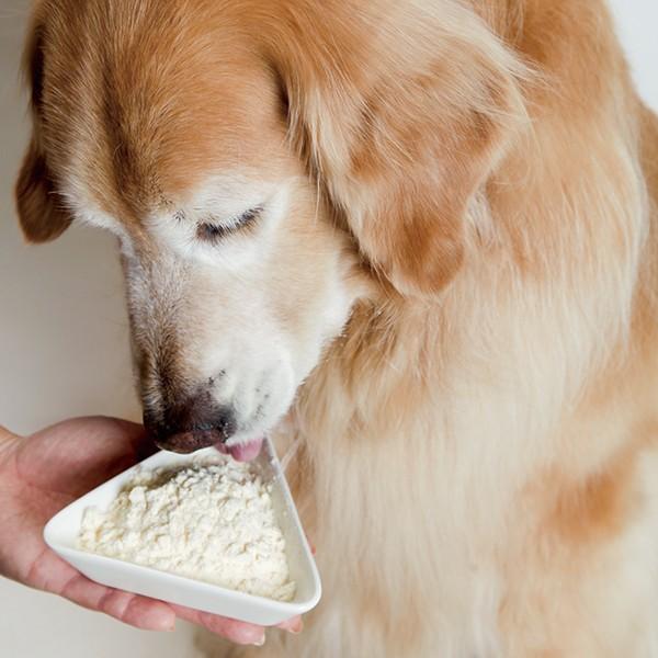 おいしいチーズパウダー（64579） |  | 01