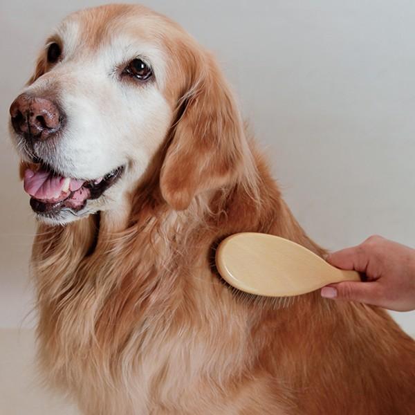 ピンブラシ 長毛犬用 Trim8 アイアンバロンyahoo 店 通販 Yahoo ショッピング