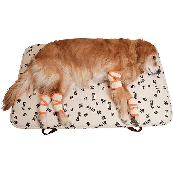 犬用介護用品 床ずれ予防サポーター 大サイズ Tzsp L 大型犬用品専門店 アイアンバロン 通販 Yahoo ショッピング