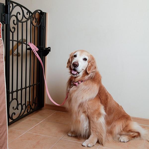 大型犬用 水に強いシンプルリード Wp 大型犬用品専門店 アイアンバロン 通販 Yahoo ショッピング