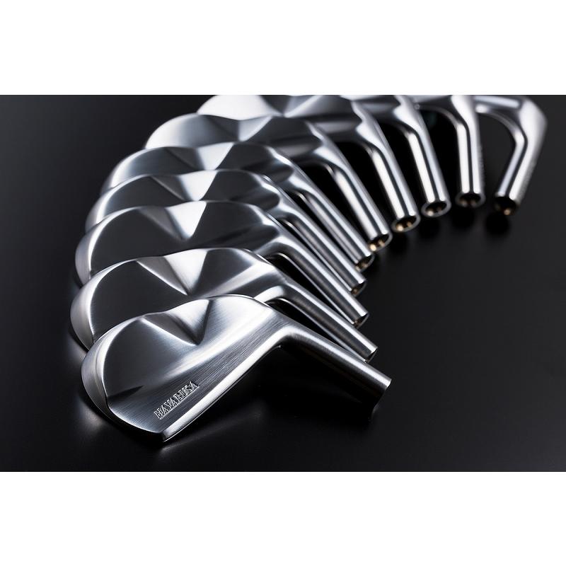 グッドデザイン賞受賞！！HAYABUSA Iron 5〜PW 6本セット DGシャフト