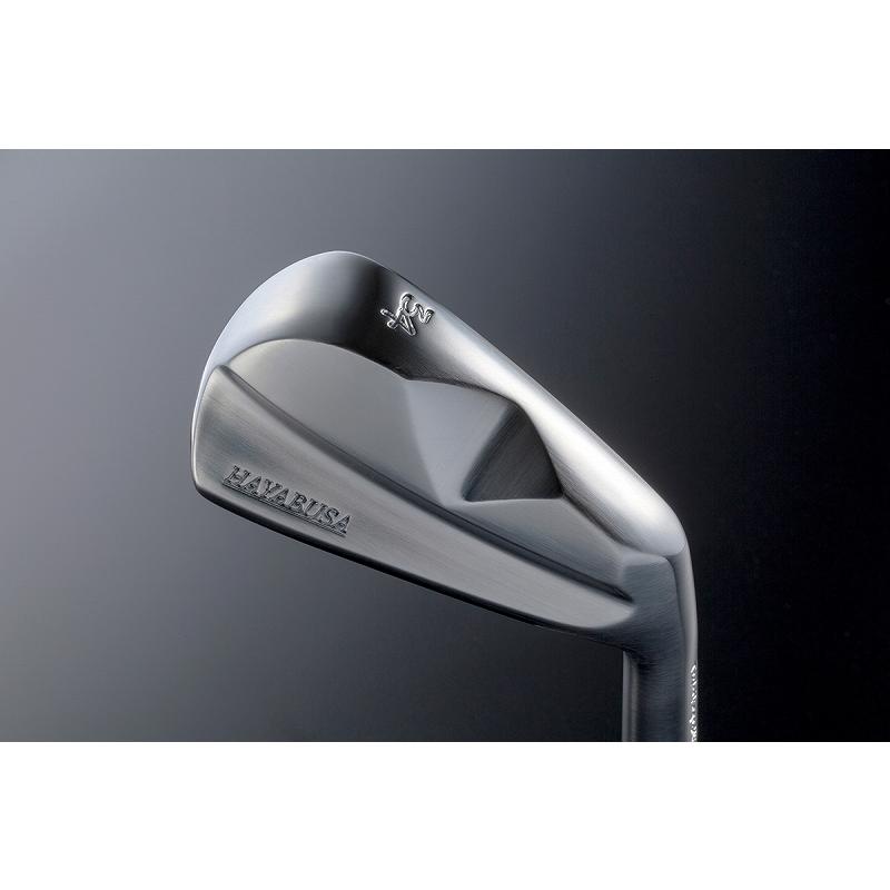 グッドデザイン賞受賞！！HAYABUSA Iron 5〜PW 6本セット DGシャフト 