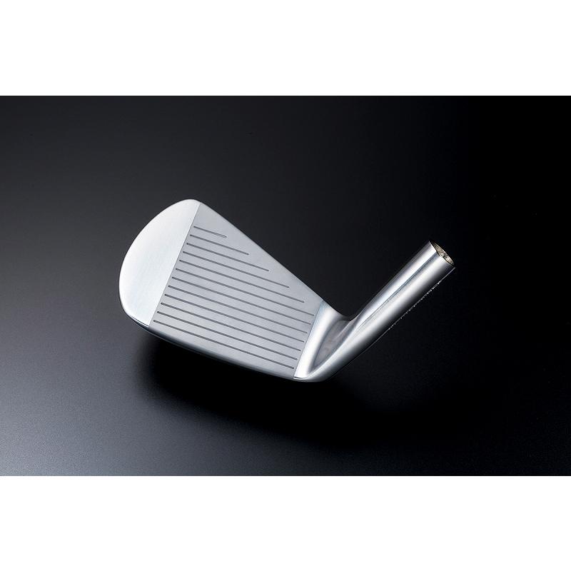 グッドデザイン賞受賞！！HAYABUSA Iron 5〜PW 6本セット NS-Pro