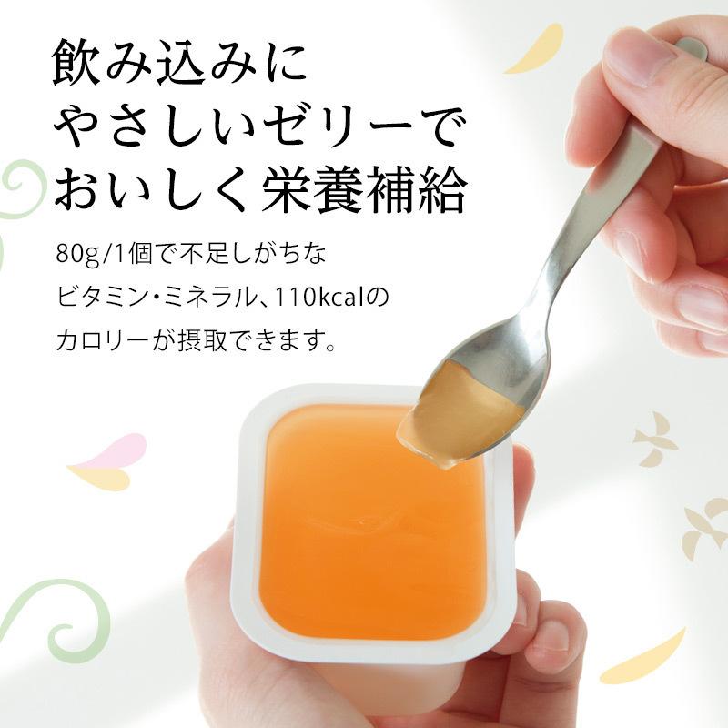 ニュートリー ブイ・クレス CP10（シーピーテン）ゼリー／BIO