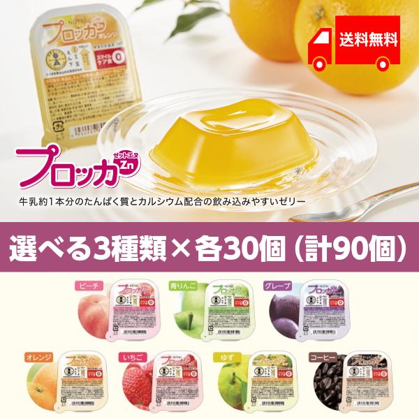 人気ショップ プロッカZn 選べる3種×各30個 ニュートリー たんぱく質 カルシウム 高カロリーゼリー いちご ゆず コーヒー グレープ 青りんご ピーチ オレンジ wantannas.go.id 人気ショップ プロッカZn 選べる3種×各30個 ニュートリー たんぱく質 カルシウム 高カロリーゼリー いちご ゆず コーヒー グレープ 青りんご ピーチ オレンジ wantannas.go.id