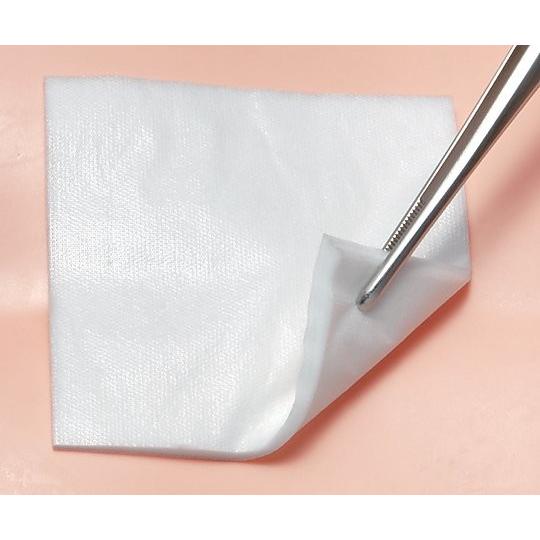 アルケア デルマエイド 100×200mm 11985 8号 100枚入 : イルコレ