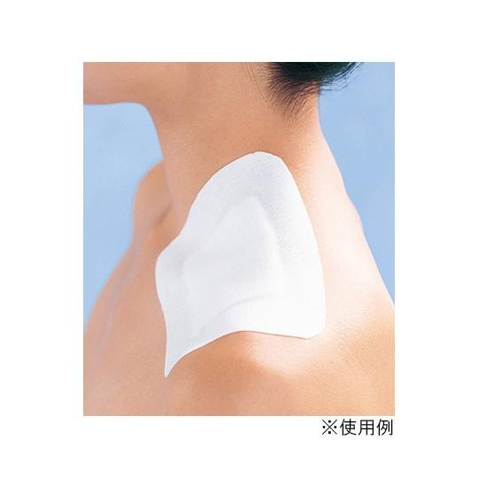 アルケア 15346 シルキーテックス・H（粘着性伸縮包帯） 10号 3巻