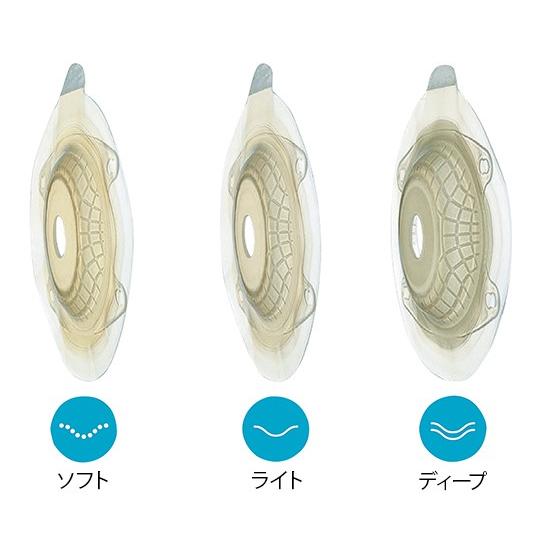 センシュラミオ2 プレート(二品系) 品番10513 6箱 計30枚 センシュラ