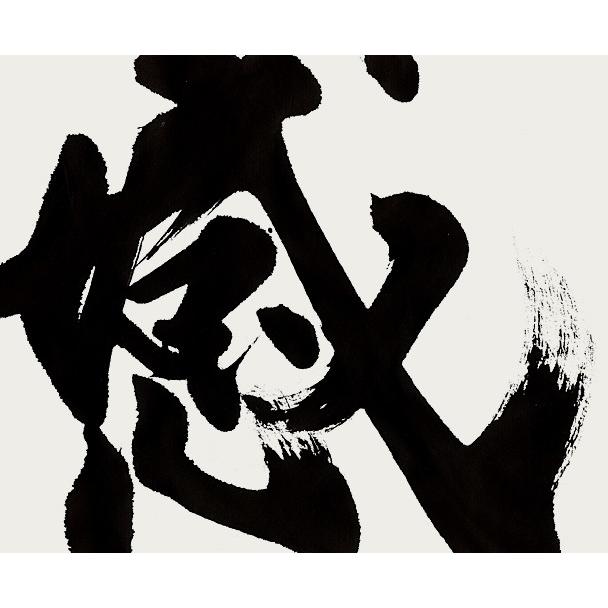 ウォールステッカー 壁紙 おしゃれ 剥がせる 高級感 誕生日 北欧 キッチン リビング トイレ 東京ステッカー 武田双雲 感謝 ｓサイズ To 0010 セレクトギフトと雑貨のお店イルレ 通販 Yahoo ショッピング