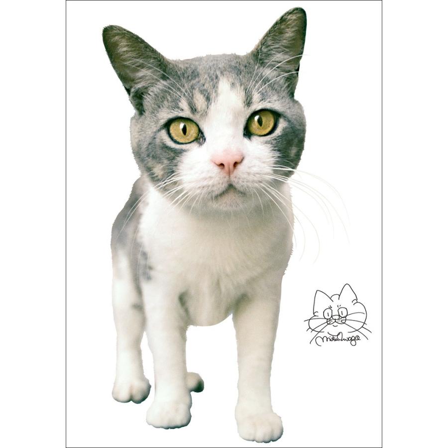 ウォールステッカー 壁紙 おしゃれ 剥がせる 高級感 誕生日 北欧 キッチン リビング 東京ステッカー 岩合光昭 ねこウォールステッカー05 Ssサイズ To 0190 セレクトギフトと雑貨のお店イルレ 通販 Yahoo ショッピング