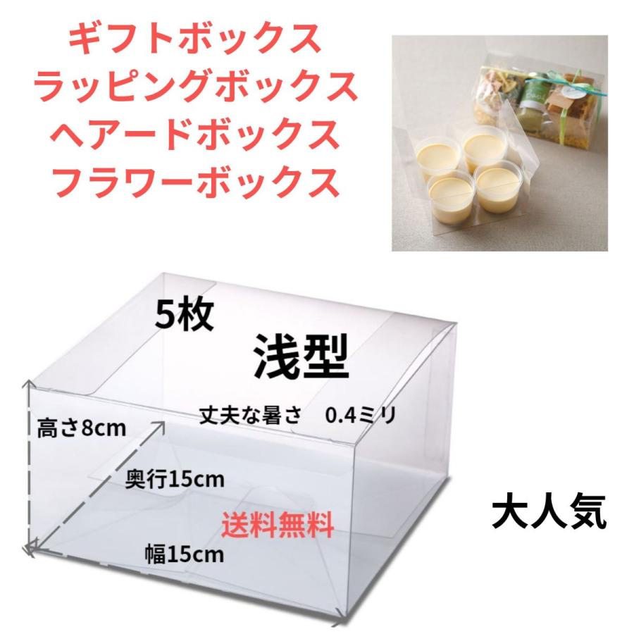 クリアボックス 浅型 5枚 幅15 奥行15 高さ8cm クリアケース 花 フラワー ヘアード 髪飾り ラッピング ギフト ボックス プレゼント フィギュア ぬいぐるみ Hhu0023a 花職人の店 いるでぱいん 通販 Yahoo ショッピング